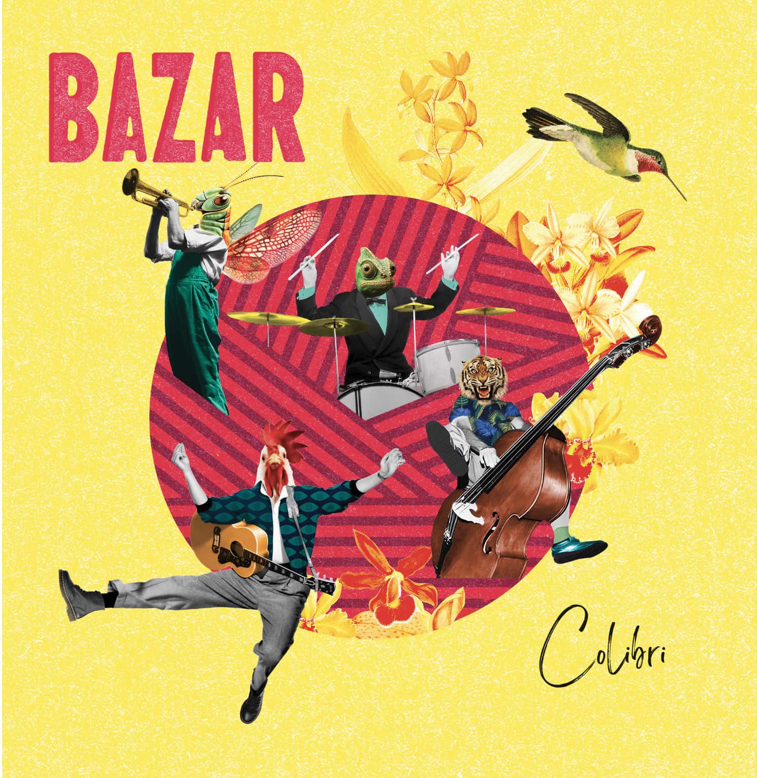 BAZAR - Colibri LD